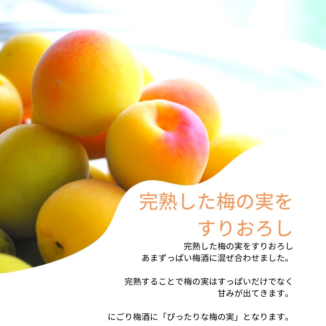 2ܥåȡۥꥭ塼륻å(äѤˤ߻ҡ椺ʼ)67