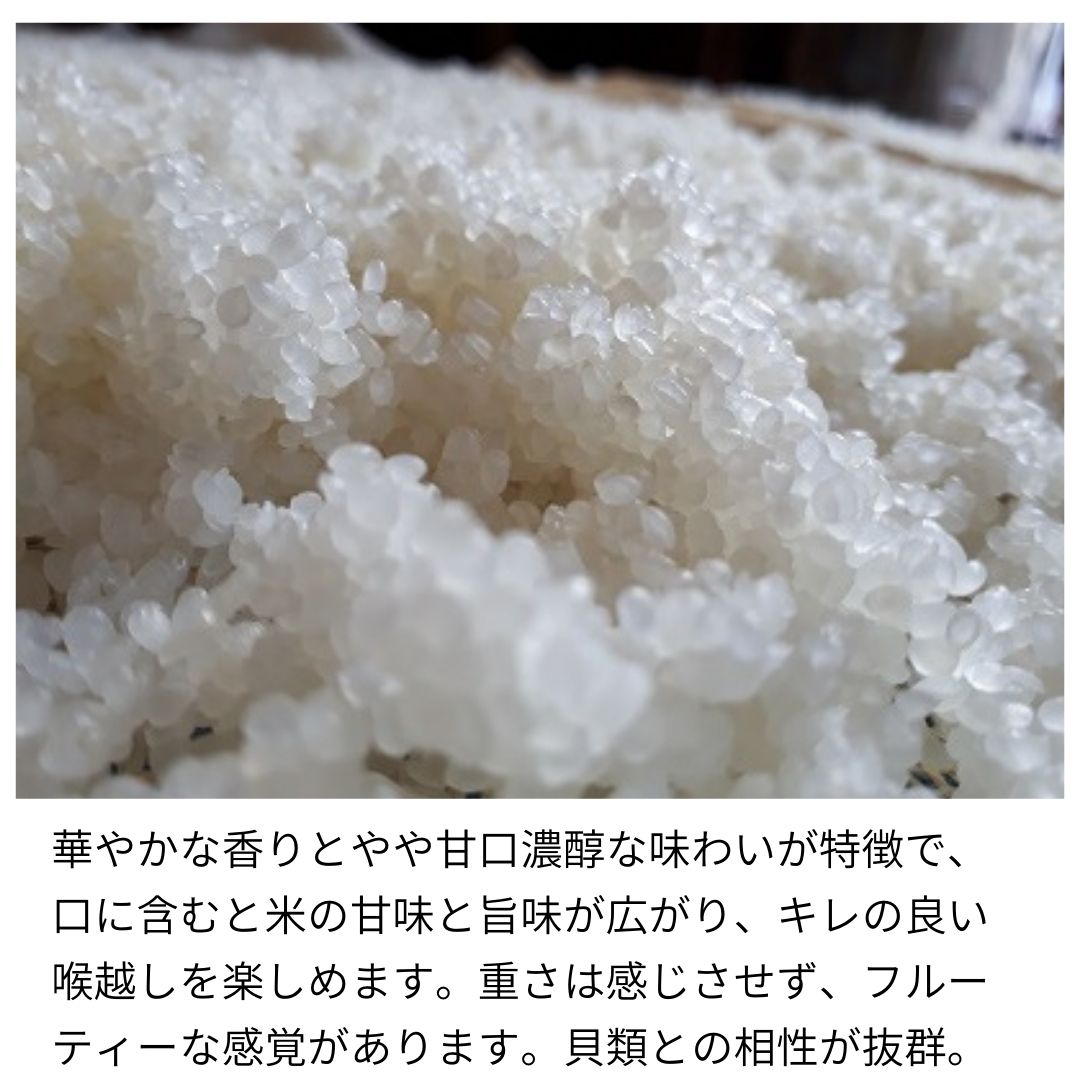 Ȣʤ۽Ƽ٥å