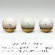 ���ޤ�� �ѥ��ƥ롦���Ρ���1.8��