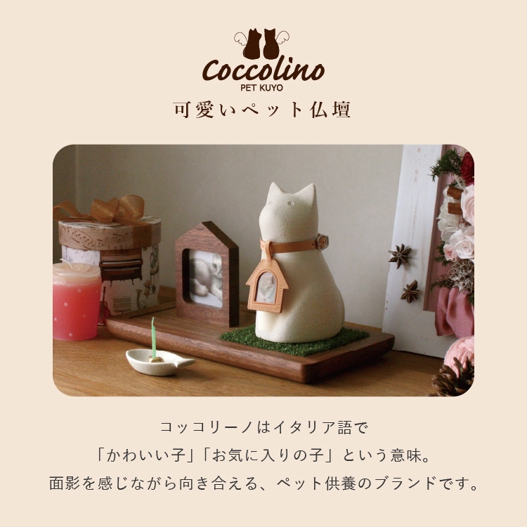 Coccolino コッコリーノ ミーチョA キャメル色