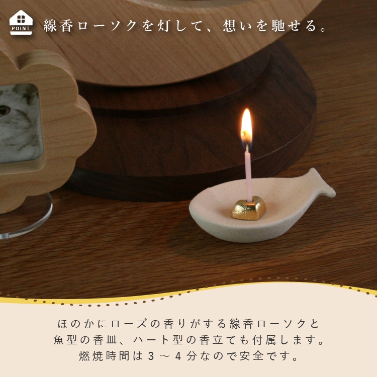 Coccolino コッコリーノ ミーチョA キャメル色