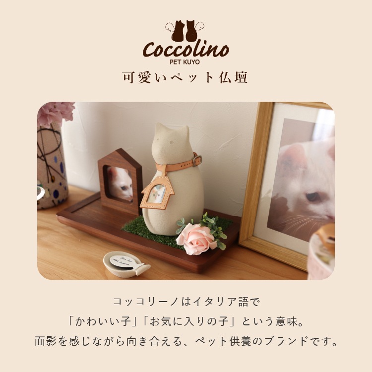 Coccolino�����å��꡼�� �ߡ�����B ���졼��