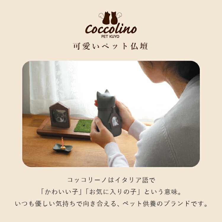 �ڥ��å��꡼�Ρۥץ顼�ȡ��饤�� ���ơ���