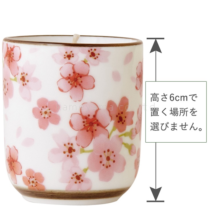 ��ʪ�����ɥ롡����