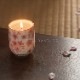 ��ʪ�����ɥ롡����
