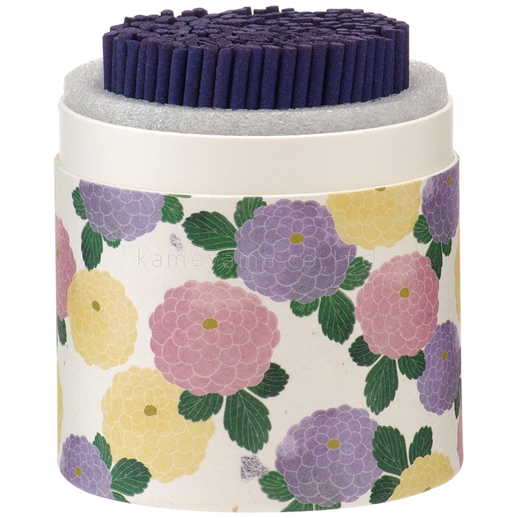 �²ڤβ� 10ʬ�������