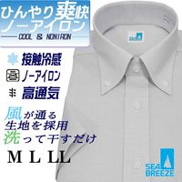 Ⱦµ�磻����� ��� �ӥ��ͥ� �ܥ�������� SEABREEZE �����֥꡼�� ������ӥ� �ܿ��䴶 �̵��� ���ְ��� �饤�ȥ��졼 �ޥ����������å� �쥮��顼���륨�å�