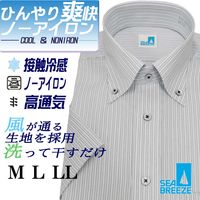 Ⱦµ�磻����� ��� �ӥ��ͥ� �ܥ�������� SEABREEZE �����֥꡼�� ������ӥ� �ܿ��䴶 �̵��� ���ְ��� �ͥ��ӡ����֥륹�ȥ饤�� �쥮��顼���륨�å�