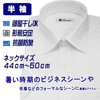 Ⱦµ�磻����� �礭�������� ��� �ӥ��ͥ� �쥮��顼���顼 ������ӥ� ���ְ��� ��������OK �����ɽ� ������ ������� �ۥ磻�� ̵�� �쥮��顼���륨�å�