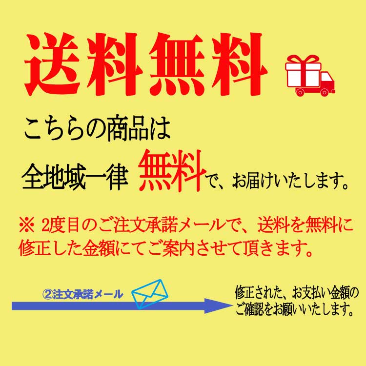 �ޥ��� ������ N95���ʥե��륿�� Ω�η� �����ޥ��� ��ӥ󥰥����� ����������륹�ޥ��� ������ �̵����Х��ͭ�� GSI���쥪��