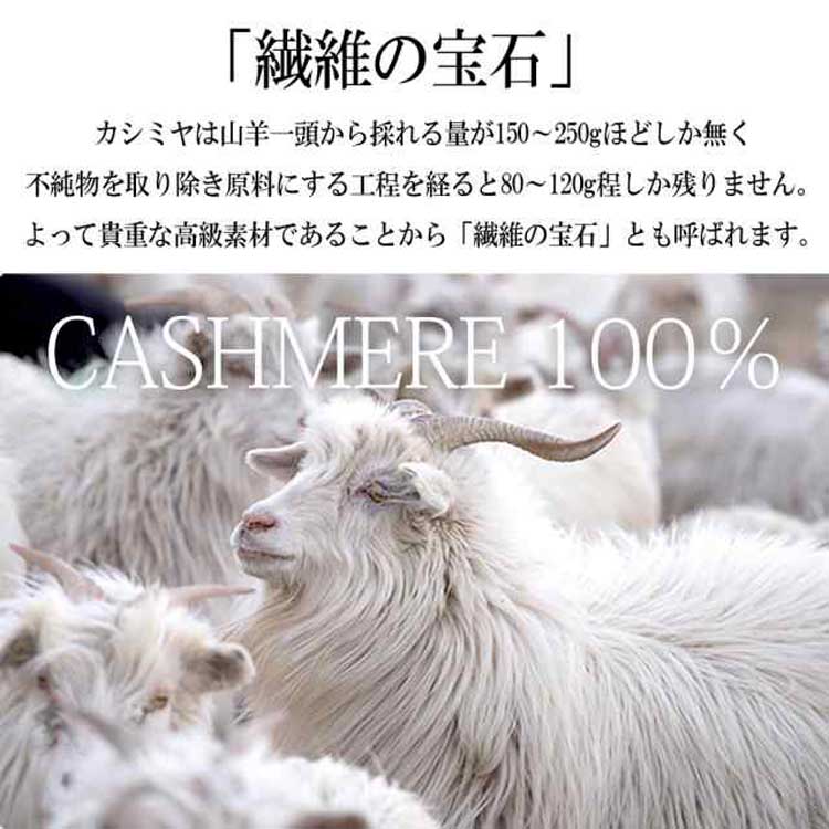 �����ߥ䥳���� ��� ������ɥ��顼������ �ϡ��ե����� ����  ���� �����ߥ�100�� �ԥ奢�����ߥ� ����̵��