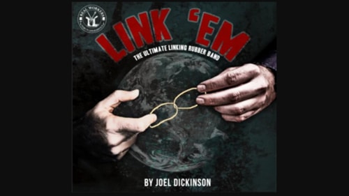 Link'em -���ܸ���­��-