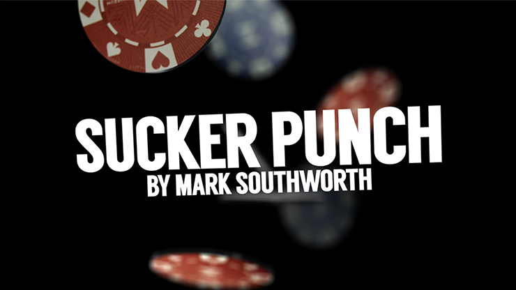 Sucker Punch -���ܸ���­��-