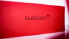 Blossom (DVD & Gimmick) -���ܸ���­��-
