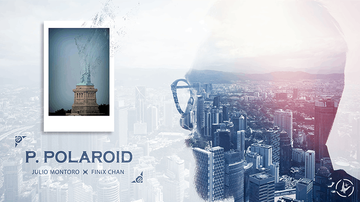 Project Polaroid - 日本語補足付き -