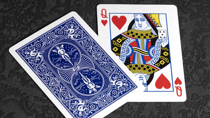 Marked Bicycle Rider Back - 見分け表付き -