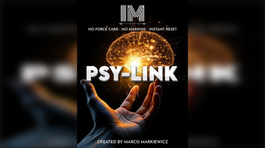 PSY-LINK - ܸ­դ -