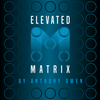 Elevated Matrix - ܸ­դ -