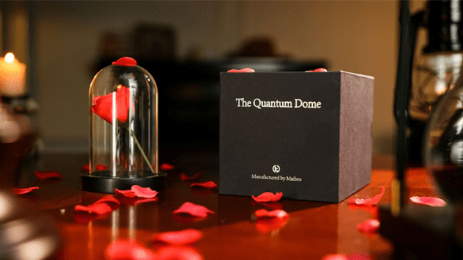 The Quantum Dome - ���ܸ���­�դ� -