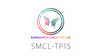 �ڼ��������ʡ�SMCL-TP15