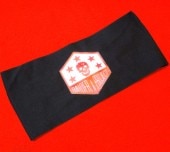 THE RAIDER PROJECT HEADBAND