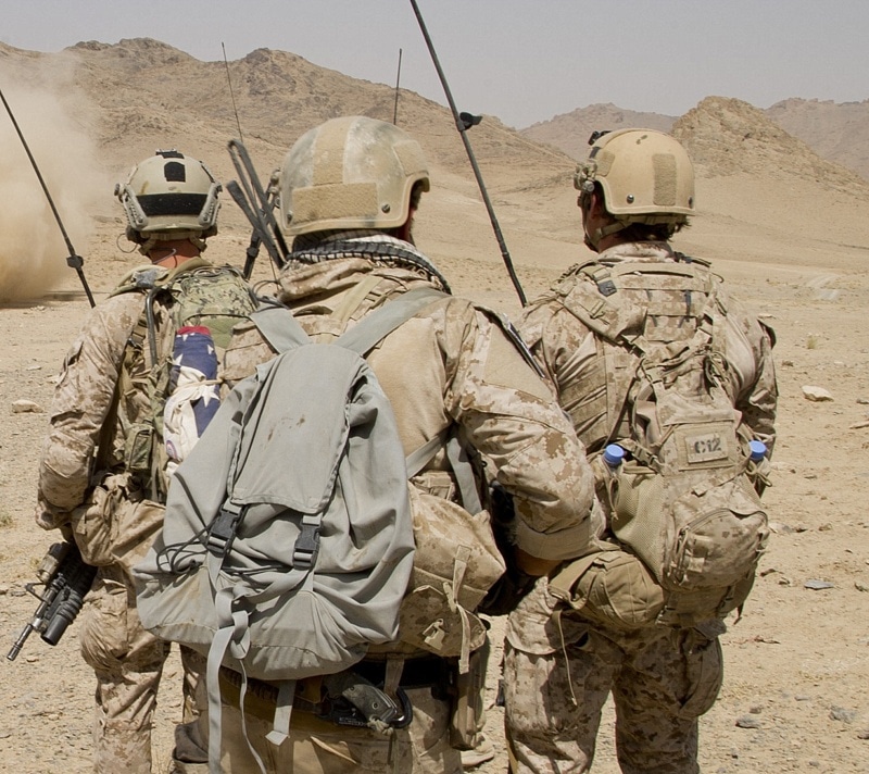 BEAVER TAIL ASSAULT PACK AOR1