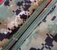 EAGLE SHOULDER PADS