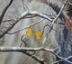 UNDER ARMOUR REALTREE SHIRT