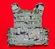 LBT-6094A PLATE CARRIER DG3