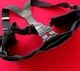 ARKTIS BACK COVERT MAG RIG