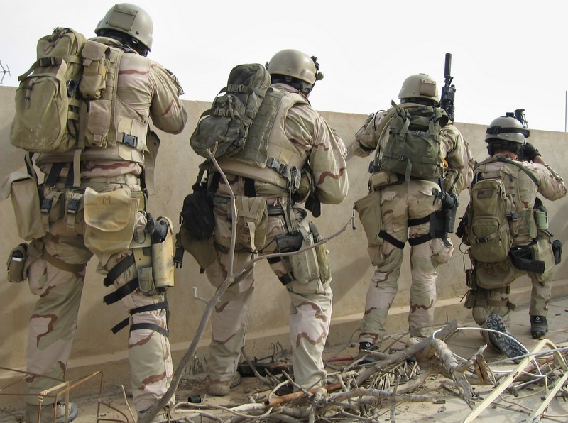 EAGLE MLCS RRV STRAP KIT