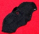 GATOR DUO FACE PROTECTOR