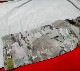 CS4 FR AC COMBAT SHIRT MR