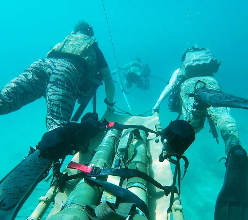 MIAMI TIGER DEAN SHIRT