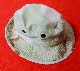 DESERT DCU BOONIE HAT