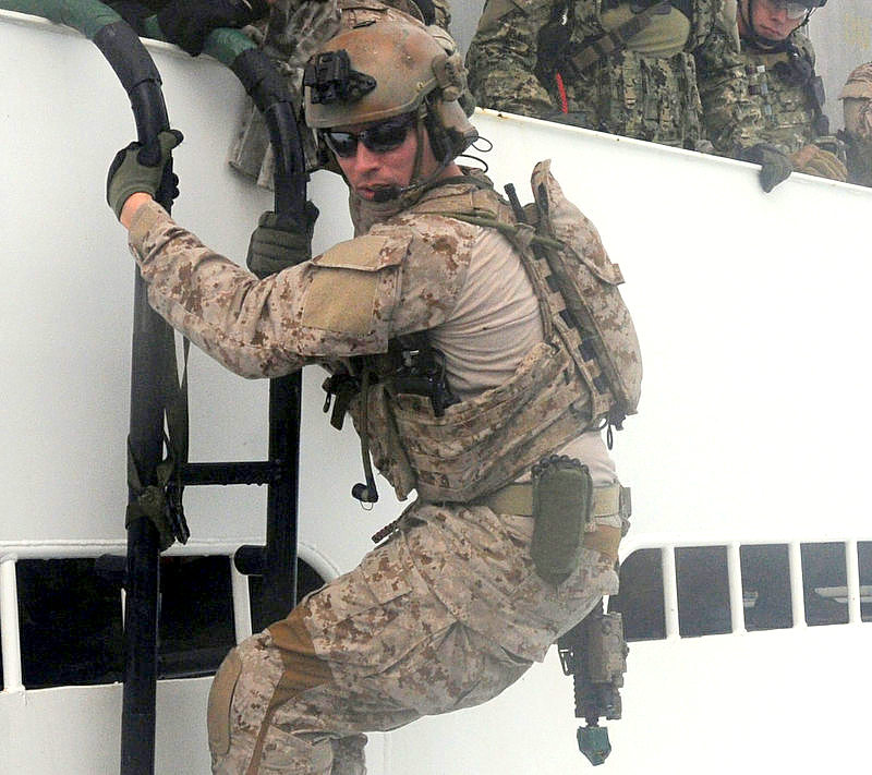 WILCOX L2 G05 NVG MOUNT