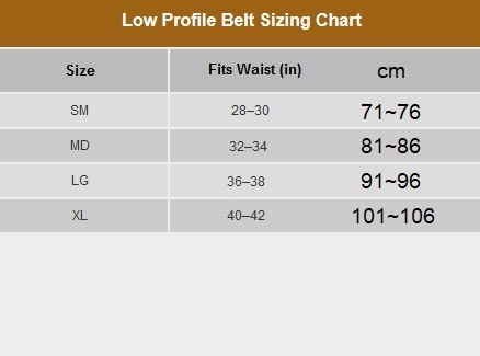 LOW PROFILE BLAST BELT CO