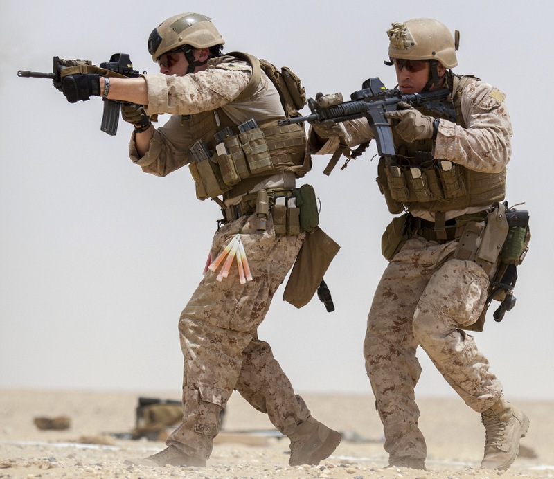 SAFARILAND 6004SS-56 SPRGFD