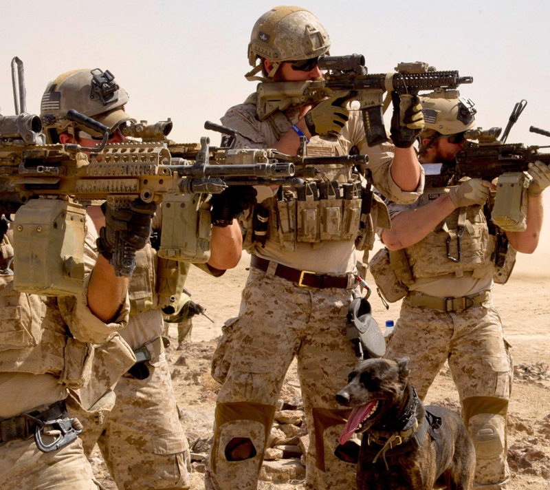 WILCOX L4 G32 NVG MNT