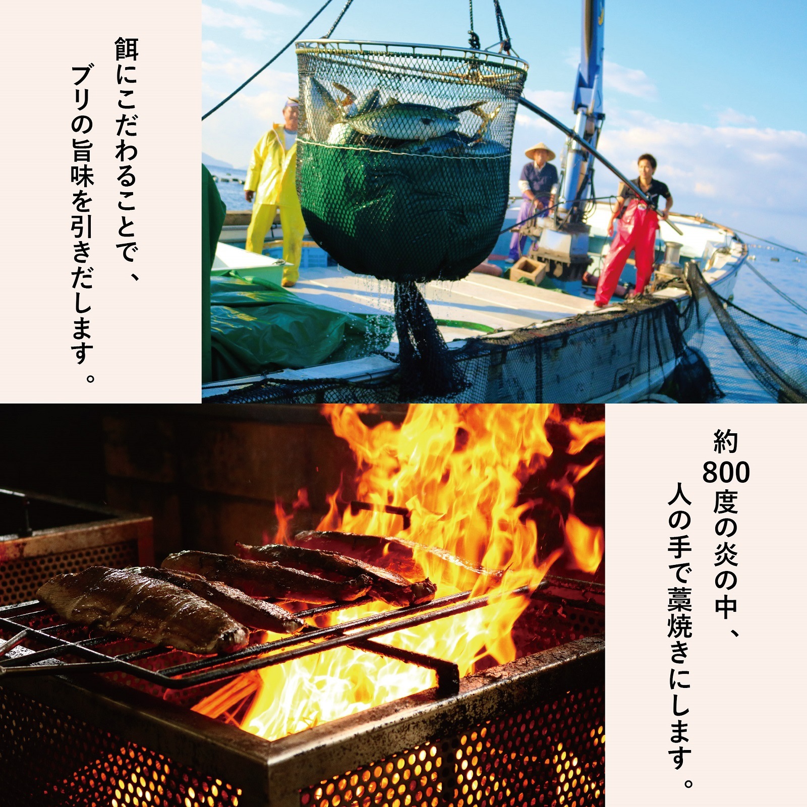 【冷凍】荒木さん家のブリ藁焼きたたき600g(5～6人前)