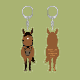 015 �쥤�ǥ��������ޤ��������ۥ����