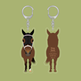 045 ���ƥ�������ɡ�2-�ɥХ�ver.-�����ޤ��������ۥ����