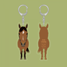 101 ����ǥ������ס����ޤ��������ۥ����