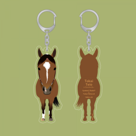 102 �ȥ������ƥ����������ޤ��������ۥ����