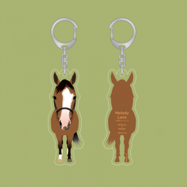 122 ����ǥ����졼�󡡤��ޤ��������ۥ����