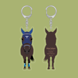 181���桼�С��졼�٥󡡤��ޤ��������ۥ����