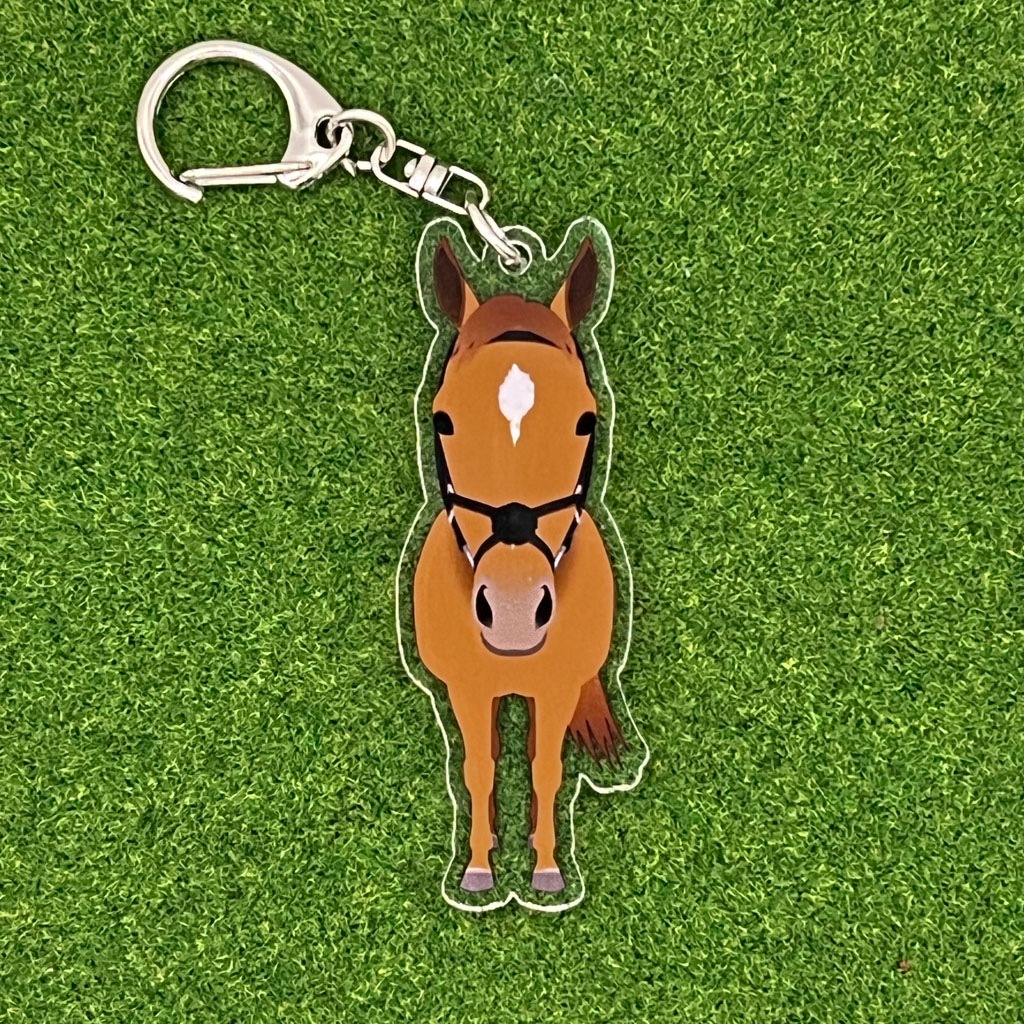 196����������ա����ޤ��������ۥ����