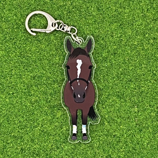 204�����󥰥饤�󡡤��ޤ��������ۥ����