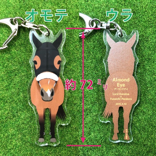 100 �ҥ��ߥ饯�롡���ޤ��������ۥ����