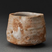 ݡ¼ϯShino Sake CupShiro Tsujimura